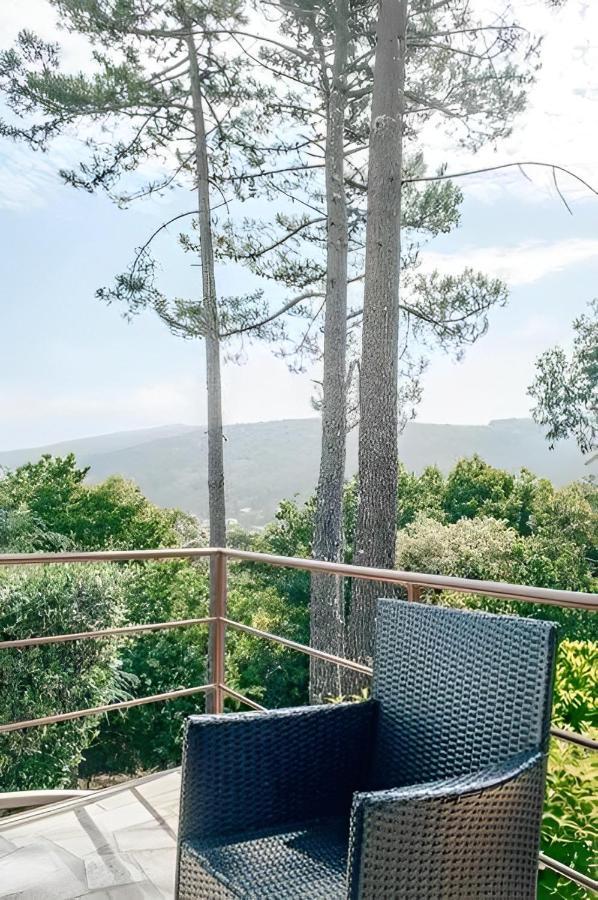 몰레도 Casa Bela Vista De Moledo 빌라 외부 사진